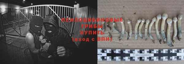 mdma Новозыбков