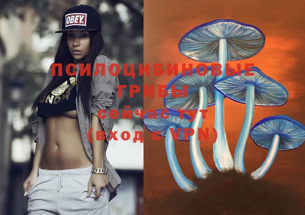 mdma Новозыбков
