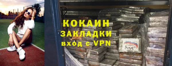 ГАЛЛЮЦИНОГЕННЫЕ ГРИБЫ Вяземский