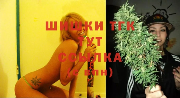 дурь Няндома